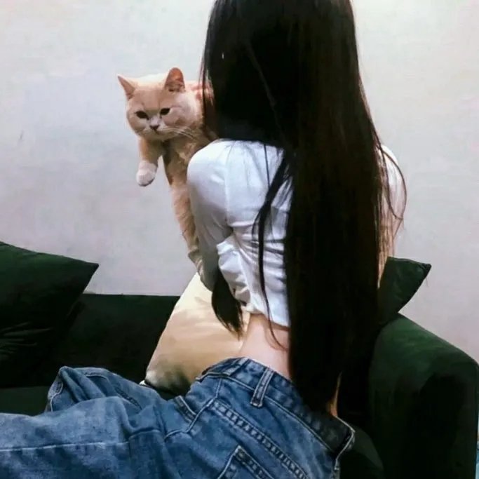 母猫